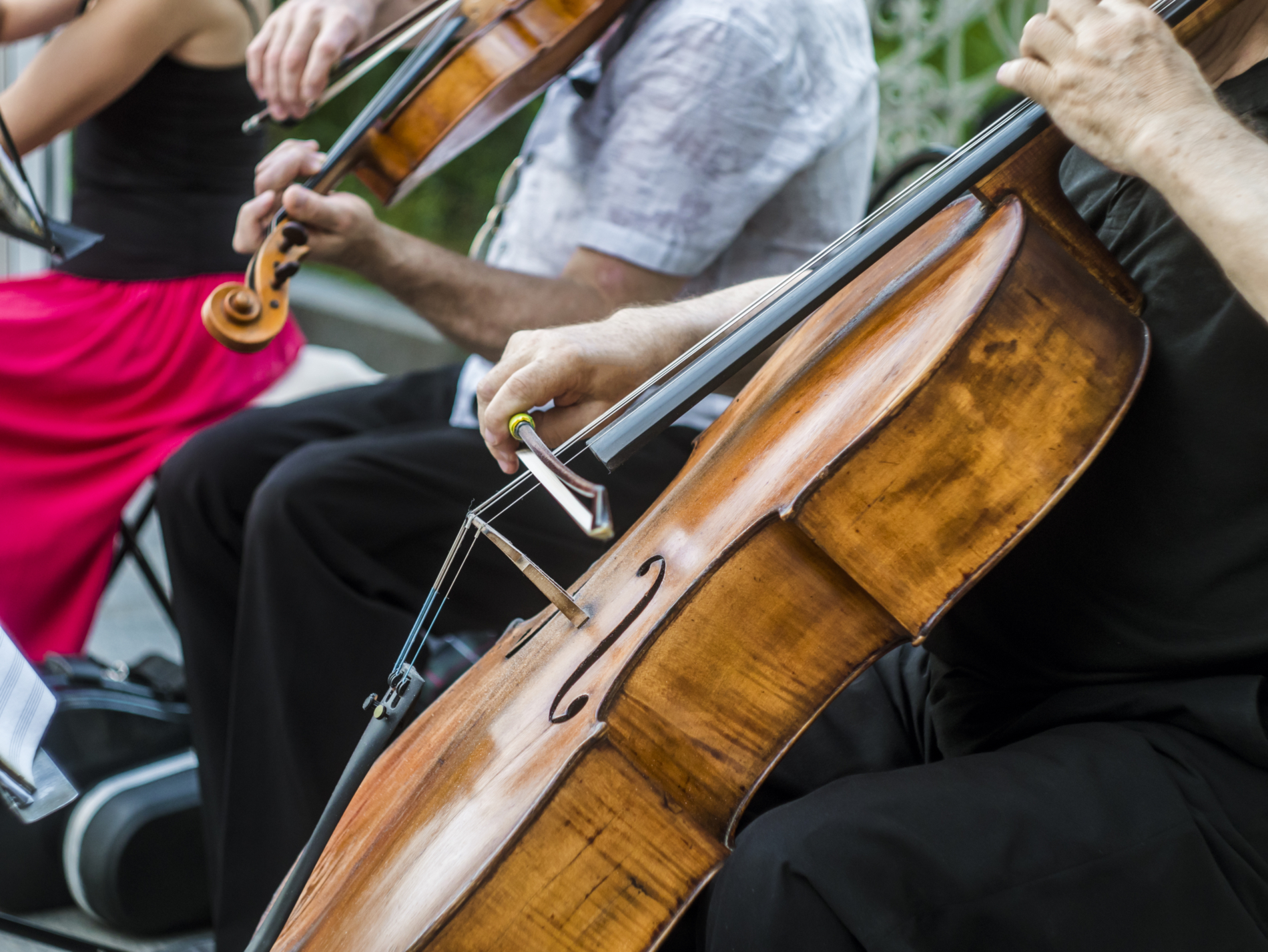 close up street musician playing violin instrument jazz music performer